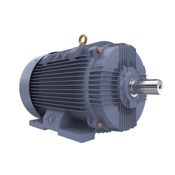 Cast Iron Motor, 75 HP, 3 Ph, 50 Hz, 400 V, 1000 RPM, 280M Frame, TEFC