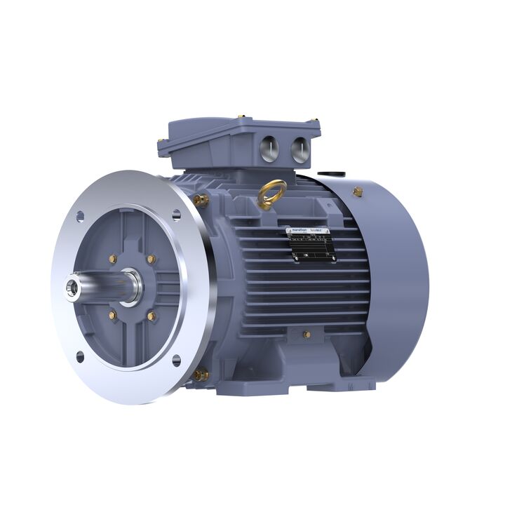 Cast Iron Motor, 15 HP, 3 Ph, 50 Hz, 400 V, 1000 RPM, 160L Frame, TEFC