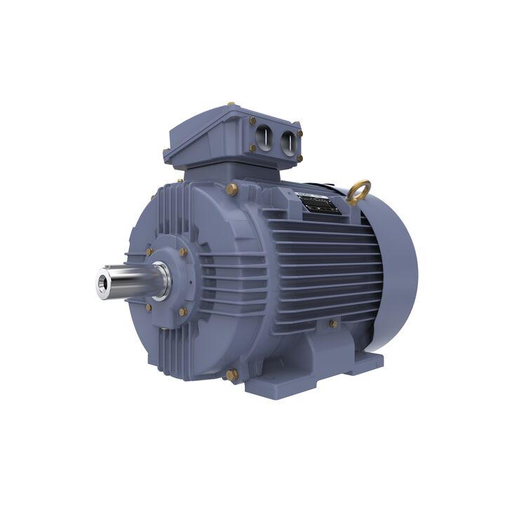 Cast Iron Motor, 30 HP, 3 Ph, 50 Hz, 400 V, 1000 RPM, 200L Frame, TEFC