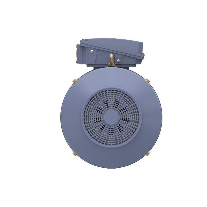 Cast Iron Motor, 150 HP, 3 Ph, 50 Hz, 400 V, 3000 RPM, 315S Frame, TEFC