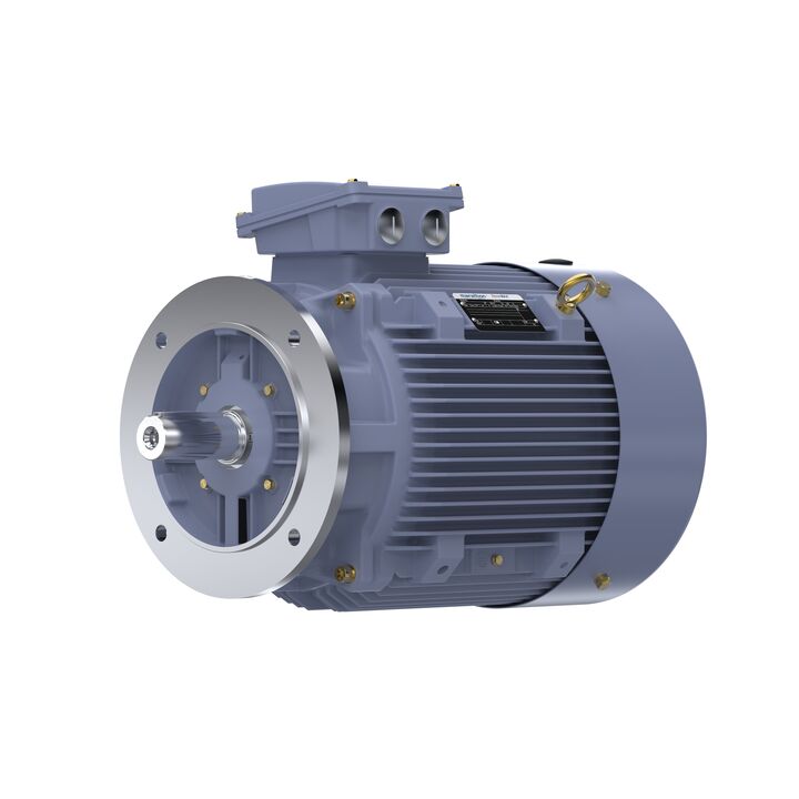Cast Iron Motor, 15 HP, 3 Ph, 50 Hz, 400 V, 750 RPM, 180L Frame, TEFC