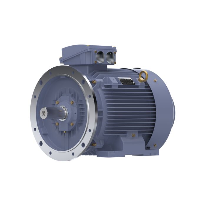 Cast Iron Motor, 75 HP, 3 Ph, 50 Hz, 400 V, 3000 RPM, 250M Frame, TEFC