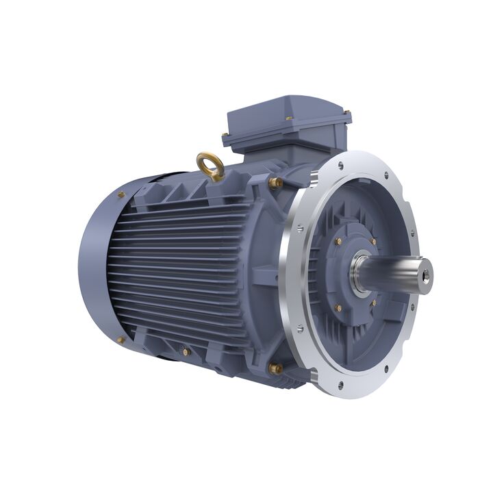 Cast Iron Motor, 100 HP, 3 Ph, 50 Hz, 400 V, 1500 RPM, 280S Frame, TEFC