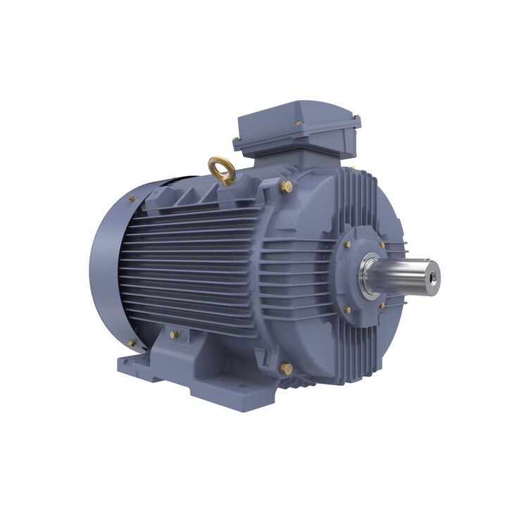 Cast Iron Motor, 100 HP, 3 Ph, 50 Hz, 400 V, 1500 RPM, 280S Frame, TEFC