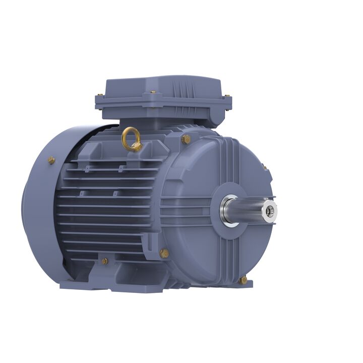 Cast Iron Motor, 10 HP, 3 Ph, 50 Hz, 400 V, 1500 RPM, 132M Frame, TEFC