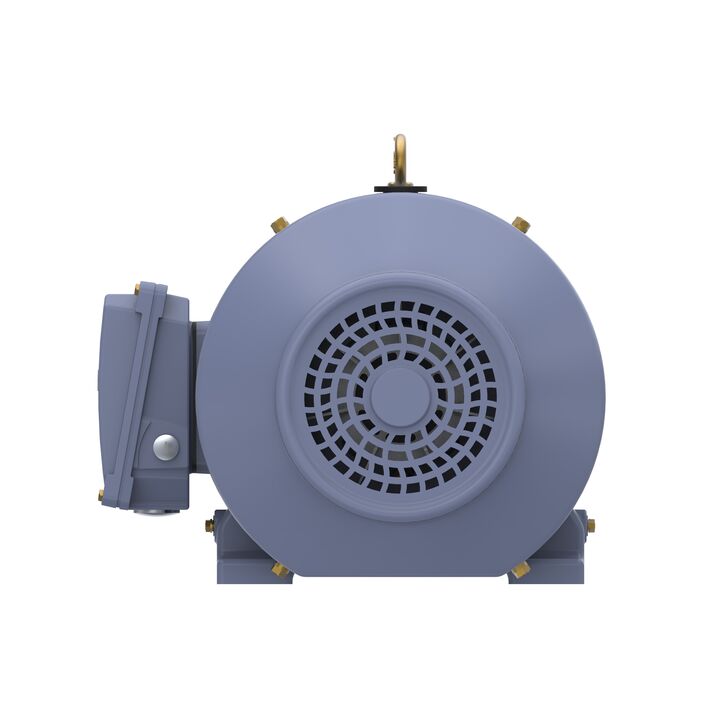 Cast Iron Motor, 15 HP, 3 Ph, 50 Hz, 400 V, 1500 RPM, 160M Frame, TEFC