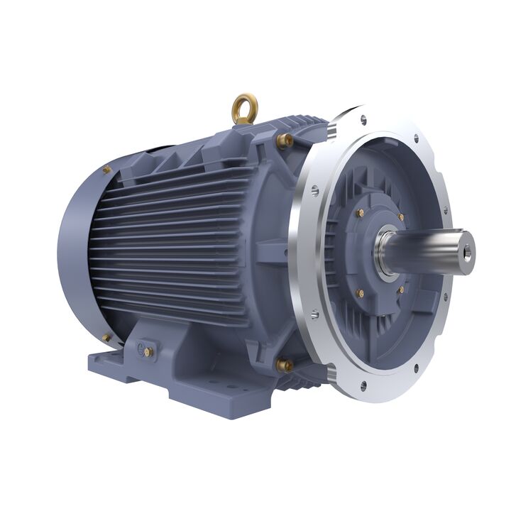 Cast Iron Motor, 100 HP, 3 Ph, 50 Hz, 400 V, 1500 RPM, 280S Frame, TEFC