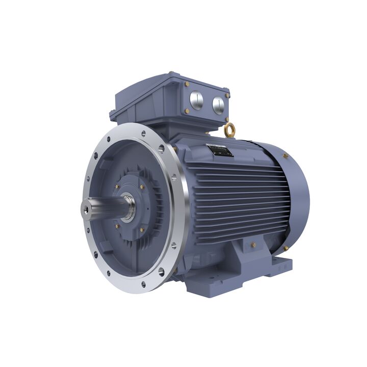 Cast Iron Motor, 150 HP, 3 Ph, 50 Hz, 400 V, 1500 RPM, 315S Frame, TEFC