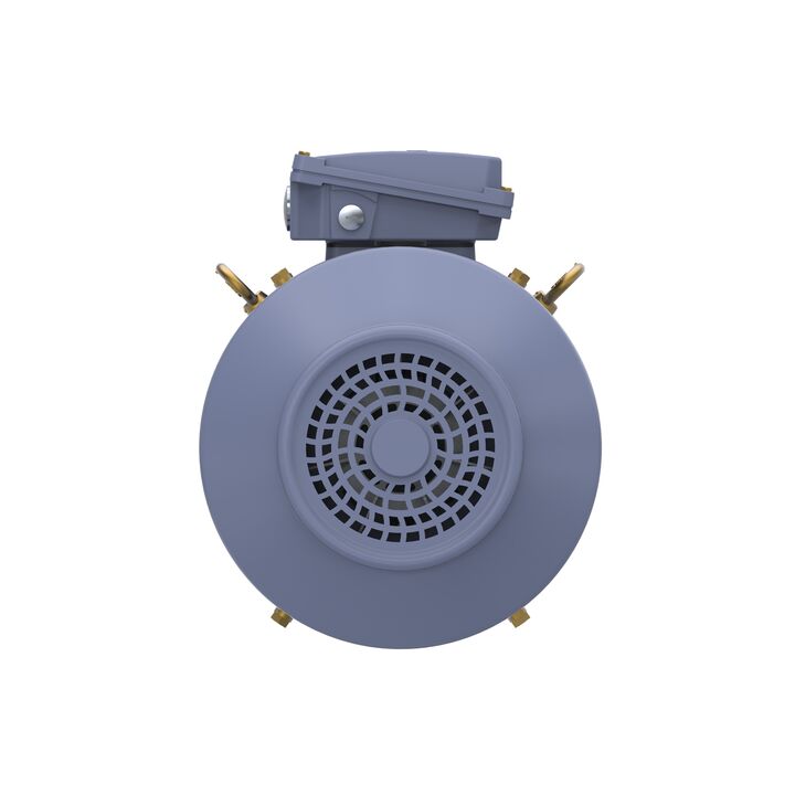 Cast Iron Motor, 15 HP, 3 Ph, 50 Hz, 400 V, 1500 RPM, 160M Frame, TEFC