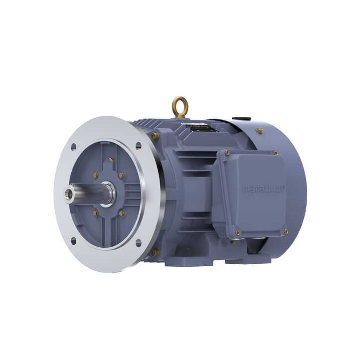 Cast Iron Motor, 10 HP, 3 Ph, 50 Hz, 400 V, 750 RPM, 160L Frame, TEFC