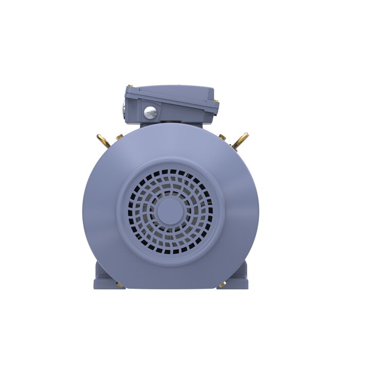 Cast Iron Motor, 15 HP, 3 Ph, 50 Hz, 400 V, 1000 RPM, 160L Frame, TEFC