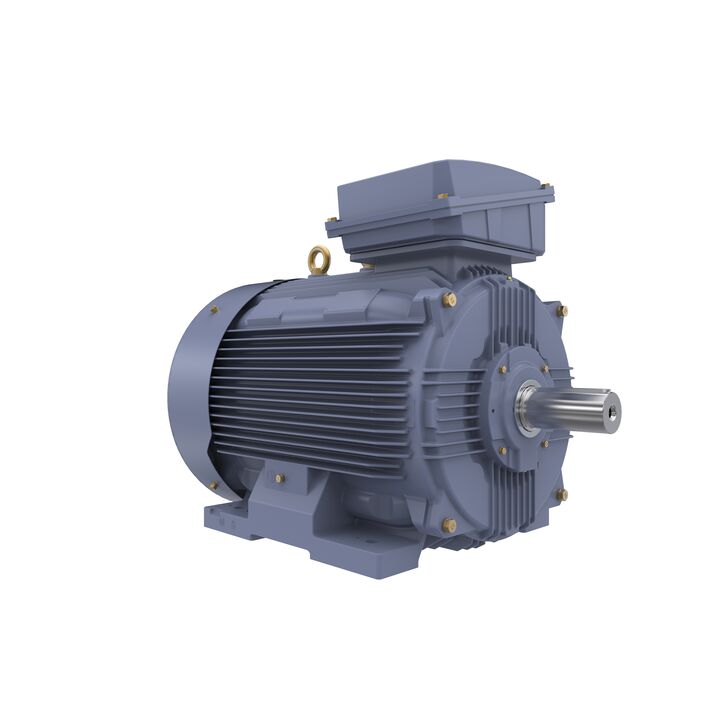 Cast Iron Motor, 150 HP, 3 Ph, 50 Hz, 400 V, 1500 RPM, 315S Frame, TEFC