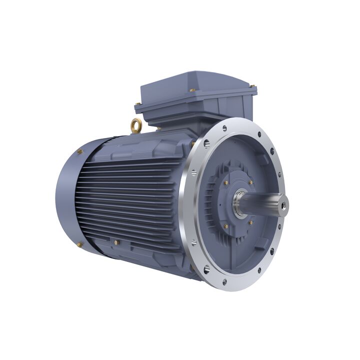 Cast Iron Motor, 150 HP, 3 Ph, 50 Hz, 400 V, 3000 RPM, 315S Frame, TEFC