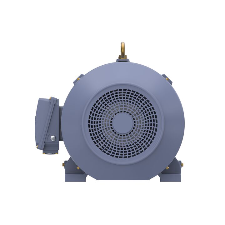 Cast Iron Motor, 100 HP, 3 Ph, 50 Hz, 400 V, 1500 RPM, 280S Frame, TEFC