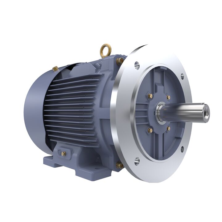 Cast Iron Motor, 15 HP, 3 Ph, 50 Hz, 400 V, 3000 RPM, 160M Frame, TEFC
