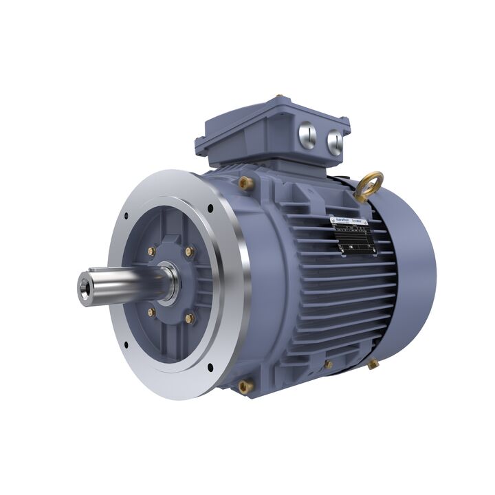 Cast Iron Motor, 15 HP, 3 Ph, 50 Hz, 400 V, 1500 RPM, 160M Frame, TEFC