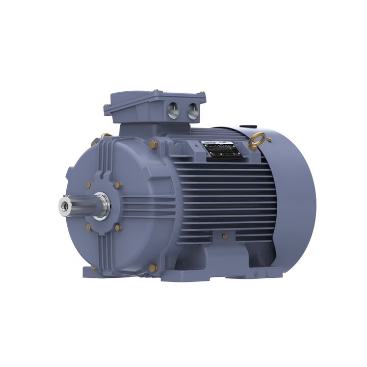 Cast Iron Motor, 15 HP, 3 Ph, 50 Hz, 400 V, 750 RPM, 180L Frame, TEFC