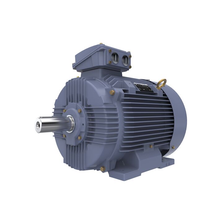 Cast Iron Motor, 40 HP, 3 Ph, 50 Hz, 400 V, 1000 RPM, 225M Frame, TEFC