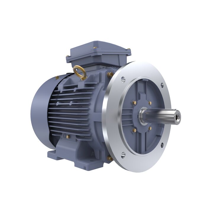 Cast Iron Motor, 15 HP, 3 Ph, 50 Hz, 400 V, 1500 RPM, 160M Frame, TEFC