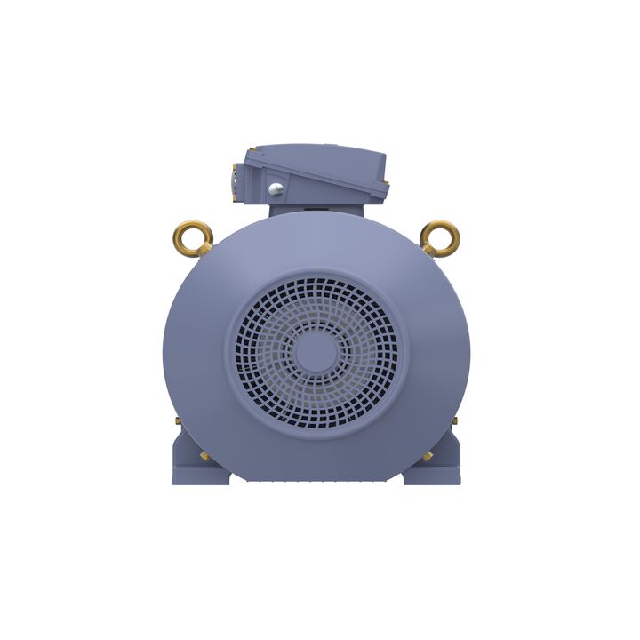 Cast Iron Motor, 75 HP, 3 Ph, 50 Hz, 400 V, 1500 RPM, 250M Frame, TEFC
