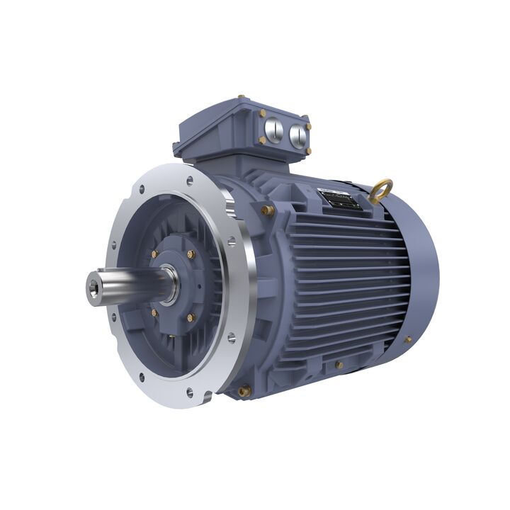 Cast Iron Motor, 40 HP, 3 Ph, 50 Hz, 400 V, 1000 RPM, 225M Frame, TEFC