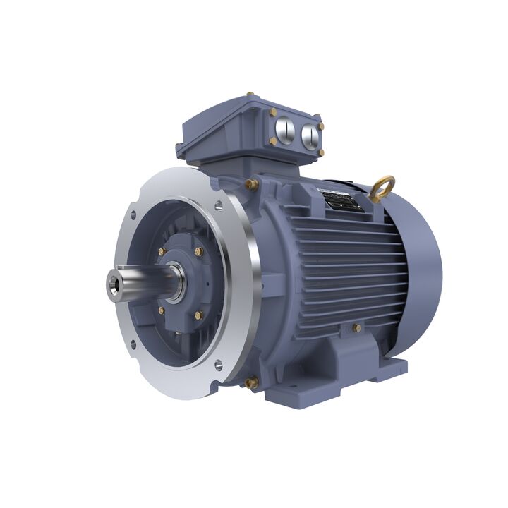 Cast Iron Motor, 25 HP, 3 Ph, 50 Hz, 400 V, 1000 RPM, 200L Frame, TEFC