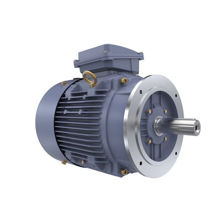 Cast Iron Motor, 15 HP, 3 Ph, 50 Hz, 400 V, 1500 RPM, 160M Frame, TEFC