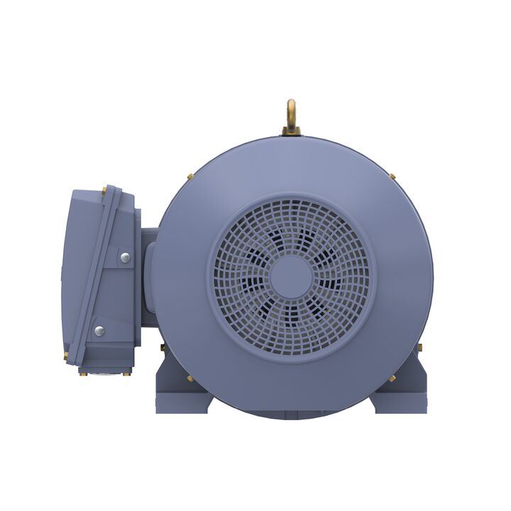 Cast Iron Motor, 175 HP, 3 Ph, 50 Hz, 400 V, 1500 RPM, 315M Frame, TEFC