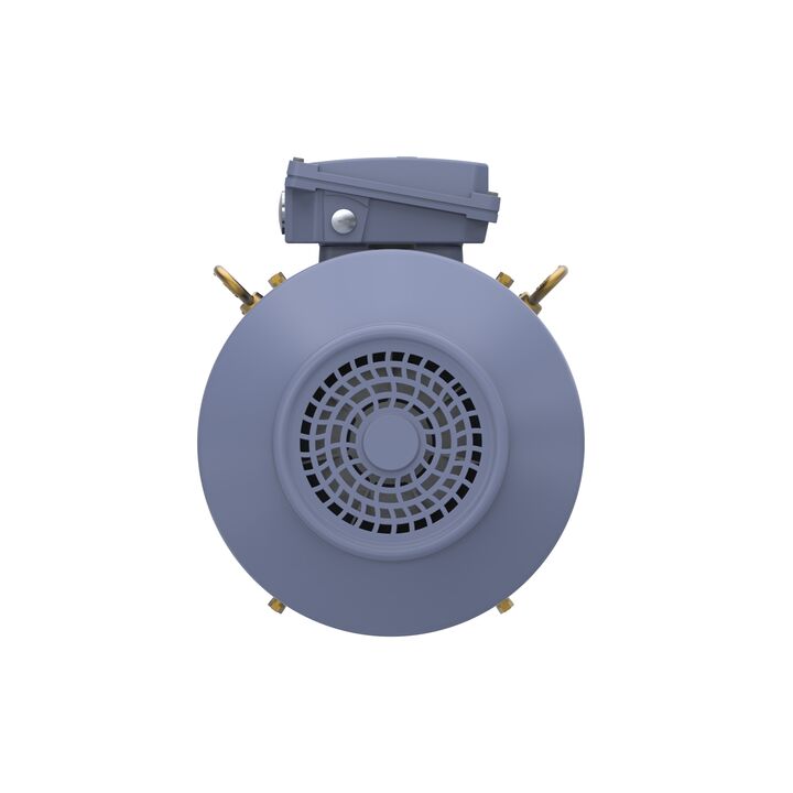 Cast Iron Motor, 25 HP, 3 Ph, 50 Hz, 400 V, 3000 RPM, 160L Frame, TEFC
