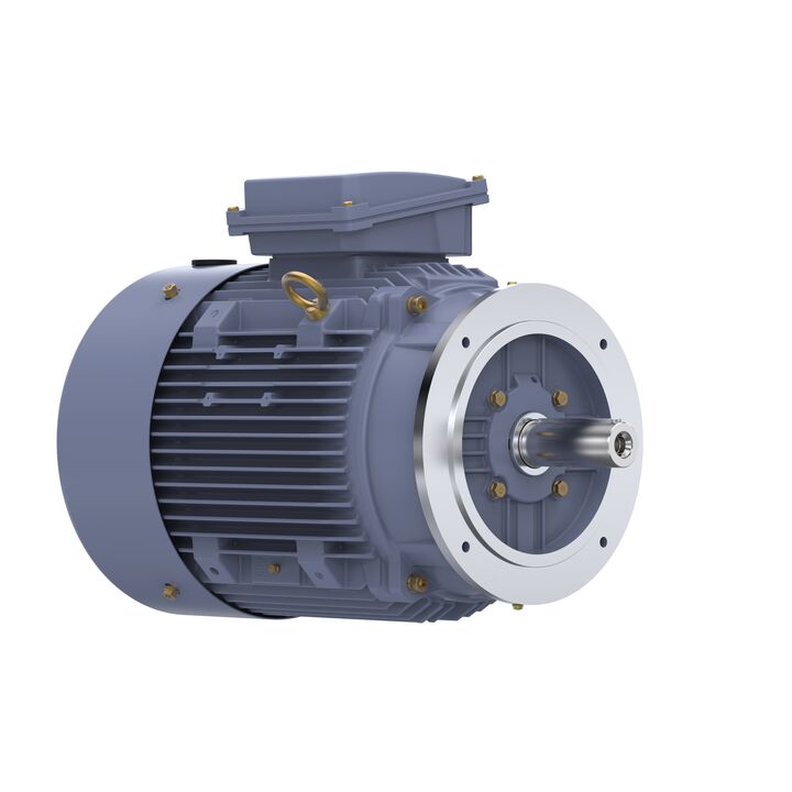 Cast Iron Motor, 15 HP, 3 Ph, 50 Hz, 400 V, 1000 RPM, 160L Frame, TEFC