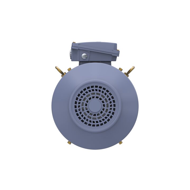 Cast Iron Motor, 15 HP, 3 Ph, 50 Hz, 400 V, 1000 RPM, 160L Frame, TEFC