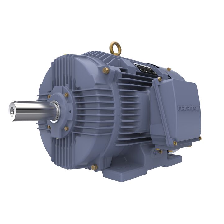 Cast Iron Motor, 40 HP, 3 Ph, 50 Hz, 400 V, 1000 RPM, 225M Frame, TEFC