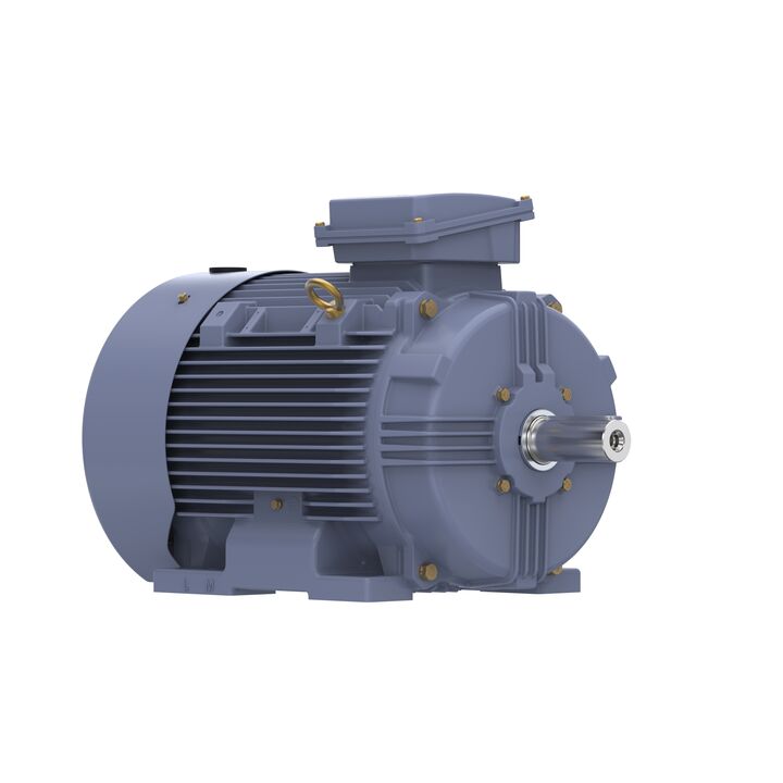 Cast Iron Motor, 15 HP, 3 Ph, 50 Hz, 400 V, 750 RPM, 180L Frame, TEFC