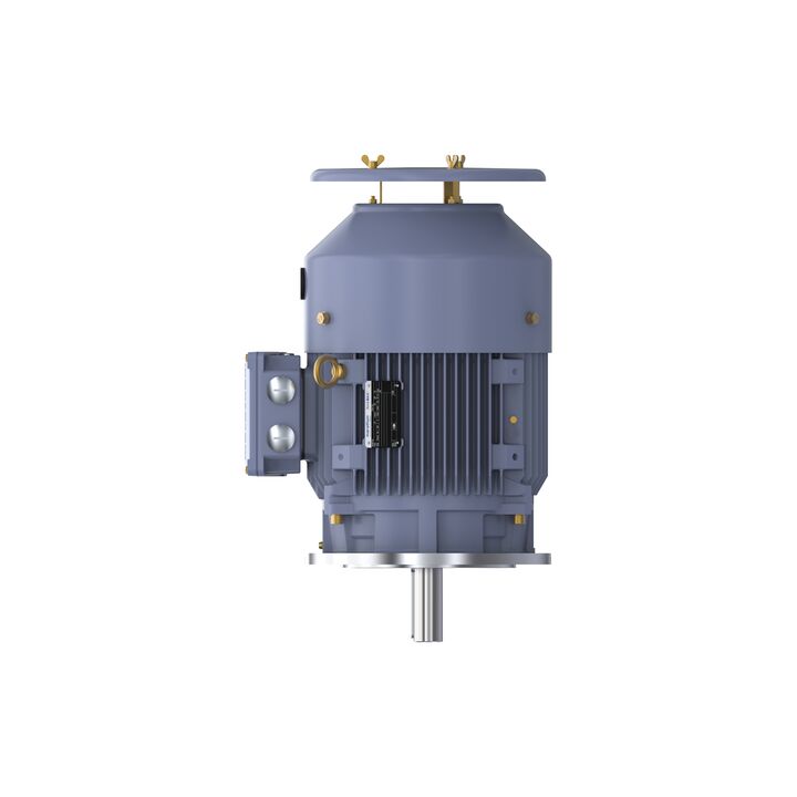 Cast Iron Motor, 15 HP, 3 Ph, 50 Hz, 400 V, 1500 RPM, 160M Frame, TEFC