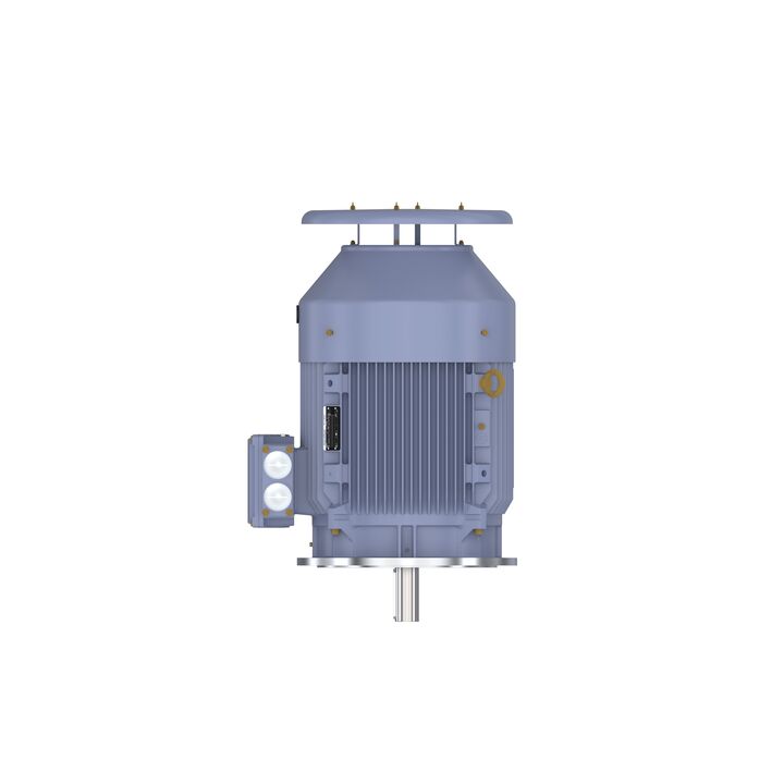 Cast Iron Motor, 75 HP, 3 Ph, 50 Hz, 400 V, 3000 RPM, 250M Frame, TEFC