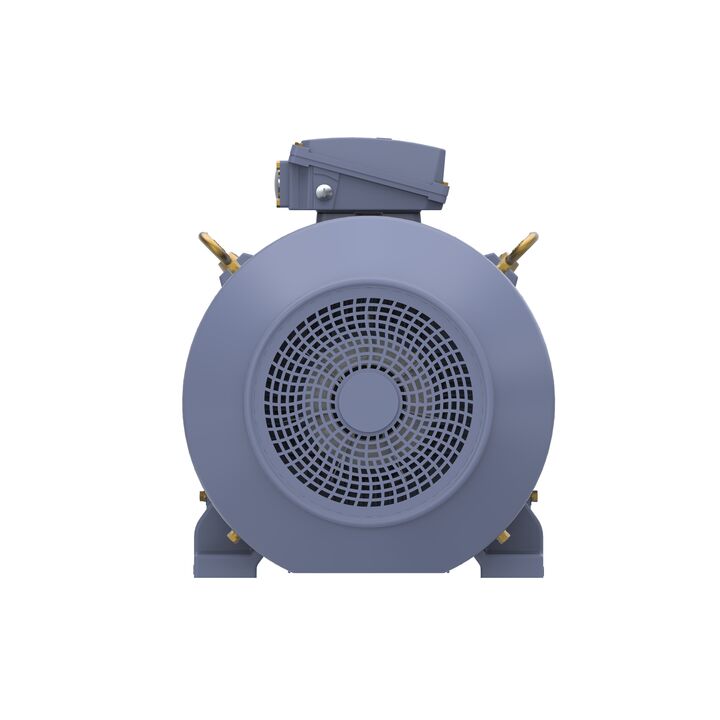Cast Iron Motor, 100 HP, 3 Ph, 50 Hz, 400 V, 1500 RPM, 280S Frame, TEFC