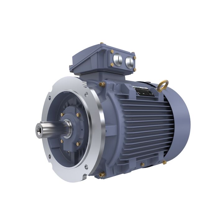 Cast Iron Motor, 40 HP, 3 Ph, 50 Hz, 400 V, 3000 RPM, 200L Frame, TEFC