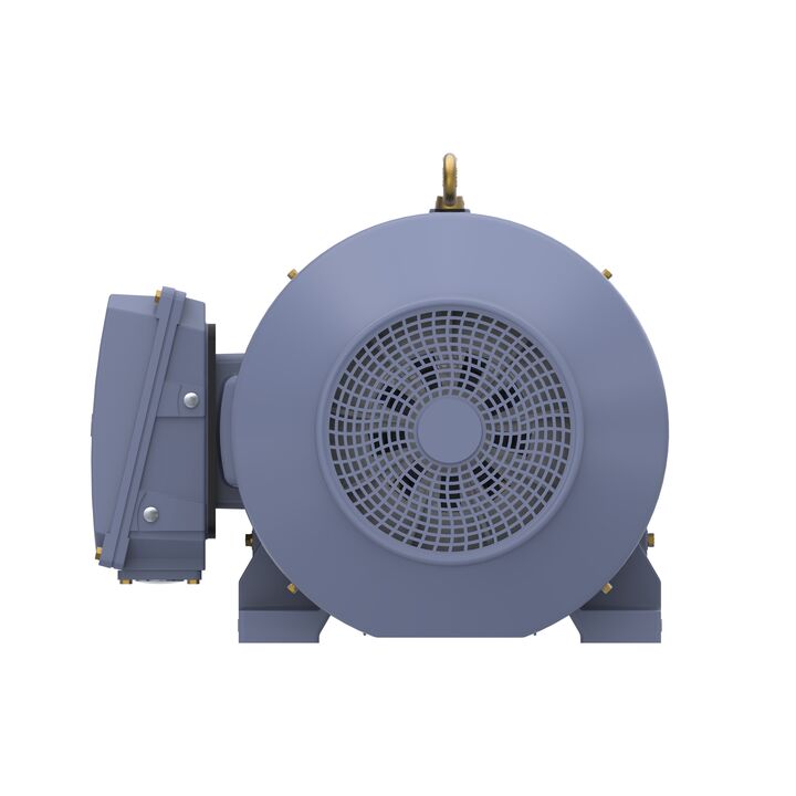 Cast Iron Motor, 75 HP, 3 Ph, 50 Hz, 400 V, 750 RPM, 315S Frame, TEFC
