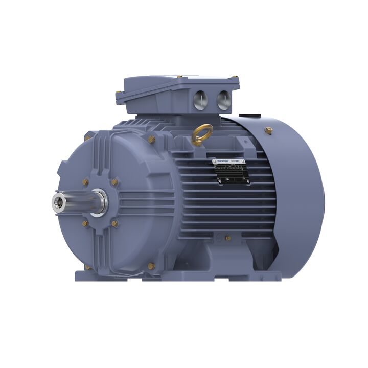 Cast Iron Motor, 25 HP, 3 Ph, 50 Hz, 400 V, 3000 RPM, 160L Frame, TEFC