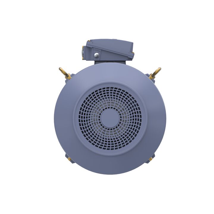Cast Iron Motor, 100 HP, 3 Ph, 50 Hz, 400 V, 1500 RPM, 280S Frame, TEFC