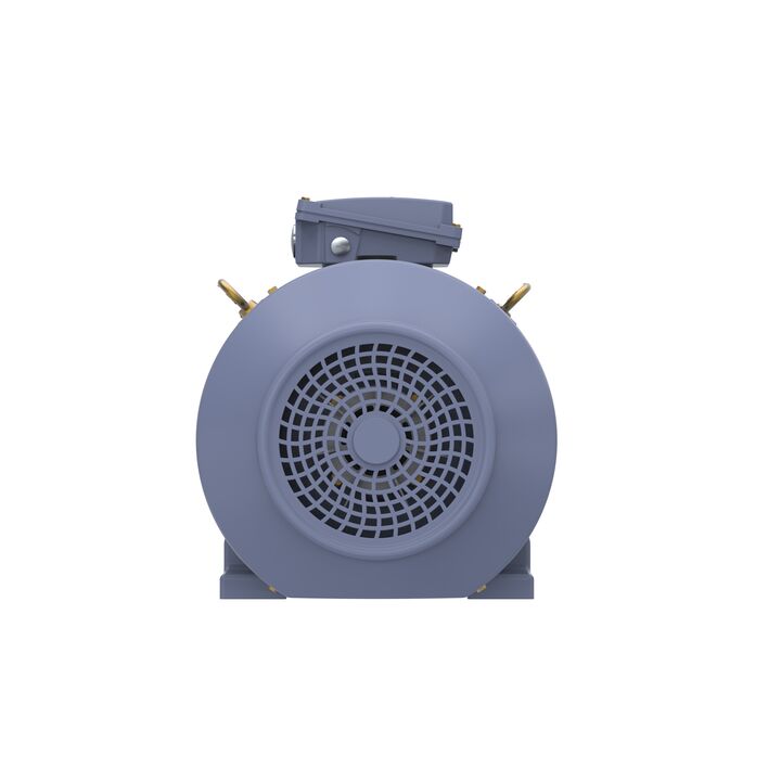 Cast Iron Motor, 15 HP, 3 Ph, 50 Hz, 400 V, 750 RPM, 180L Frame, TEFC