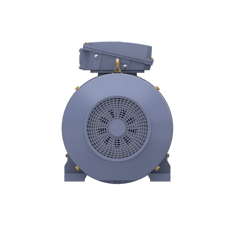 Cast Iron Motor, 150 HP, 3 Ph, 50 Hz, 400 V, 1500 RPM, 315S Frame, TEFC