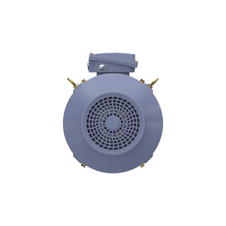 Cast Iron Motor, 15 HP, 3 Ph, 50 Hz, 400 V, 750 RPM, 180L Frame, TEFC