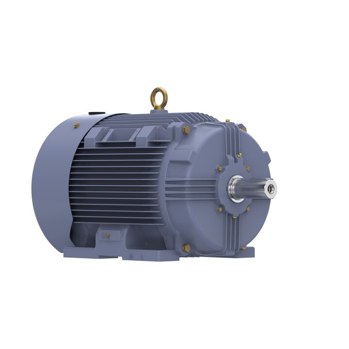 Cast Iron Motor, 15 HP, 3 Ph, 50 Hz, 400 V, 750 RPM, 180L Frame, TEFC