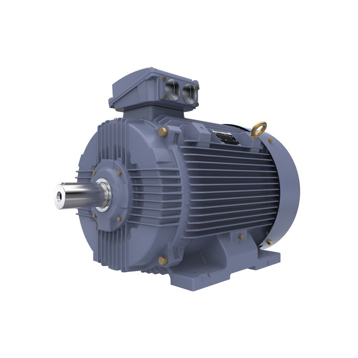 Cast Iron Motor, 100 HP, 3 Ph, 50 Hz, 400 V, 1500 RPM, 280S Frame, TEFC