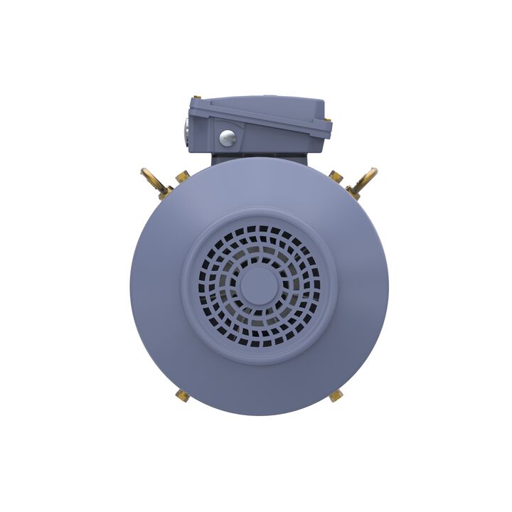 Cast Iron Motor, 15 HP, 3 Ph, 50 Hz, 400 V, 1500 RPM, 160M Frame, TEFC