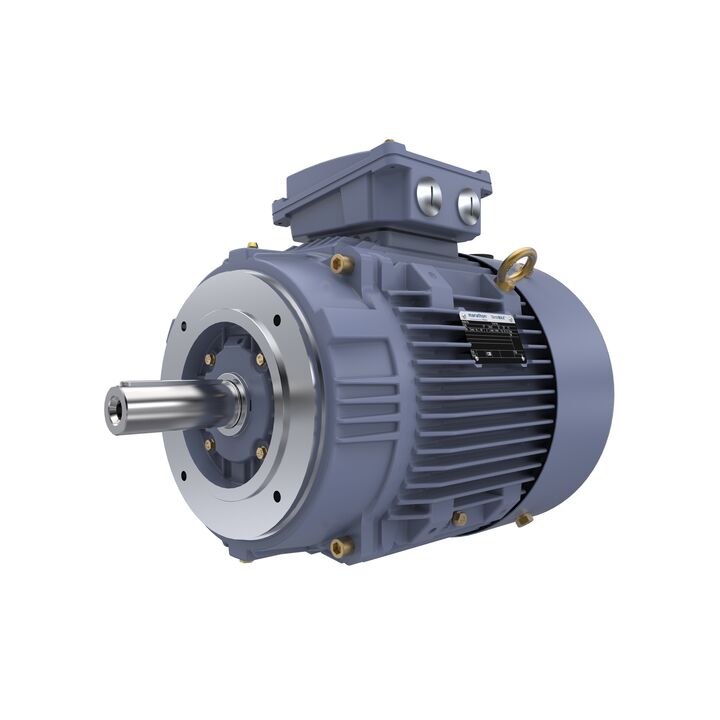 Cast Iron Motor, 15 HP, 3 Ph, 50 Hz, 400 V, 1500 RPM, 160M Frame, TEFC