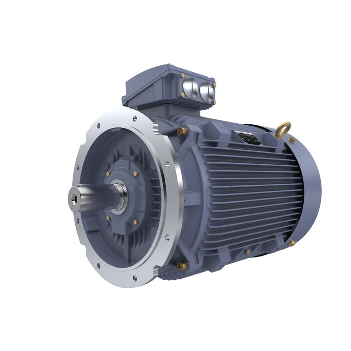 Cast Iron Motor, 75 HP, 3 Ph, 50 Hz, 400 V, 1000 RPM, 280M Frame, TEFC