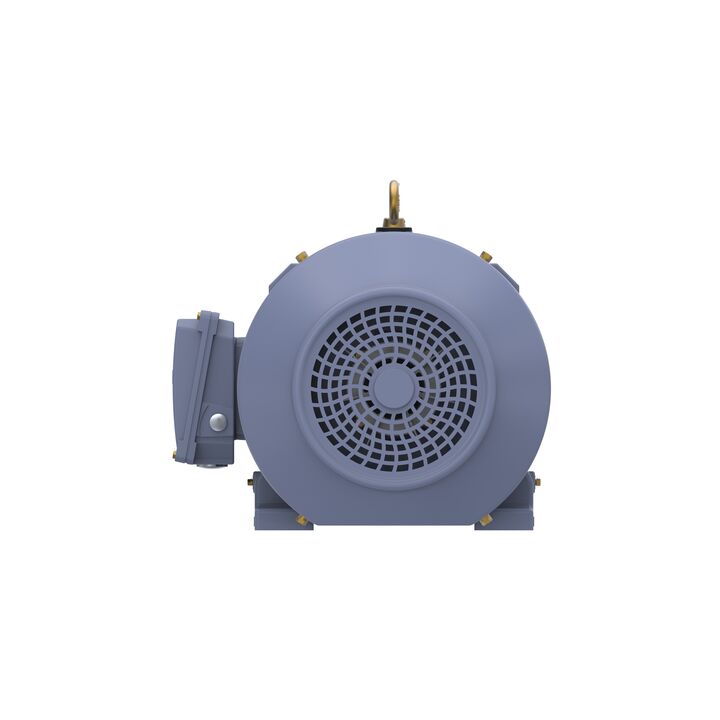 Cast Iron Motor, 15 HP, 3 Ph, 50 Hz, 400 V, 750 RPM, 180L Frame, TEFC