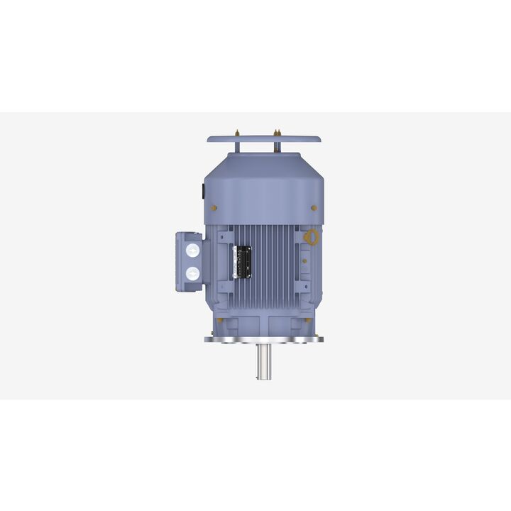Cast Iron Motor, 15 HP, 3 Ph, 50 Hz, 400 V, 1000 RPM, 160L Frame, TEFC